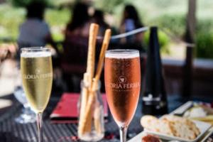 热刺首秀即战拜仁？帕利尼亚随队前往慕尼黑，热刺vs拜仁慕尼黑