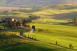 被狗咬伤生殖器！每体：巴萨旧将佩雷斯软组织感染，缝针后已出院