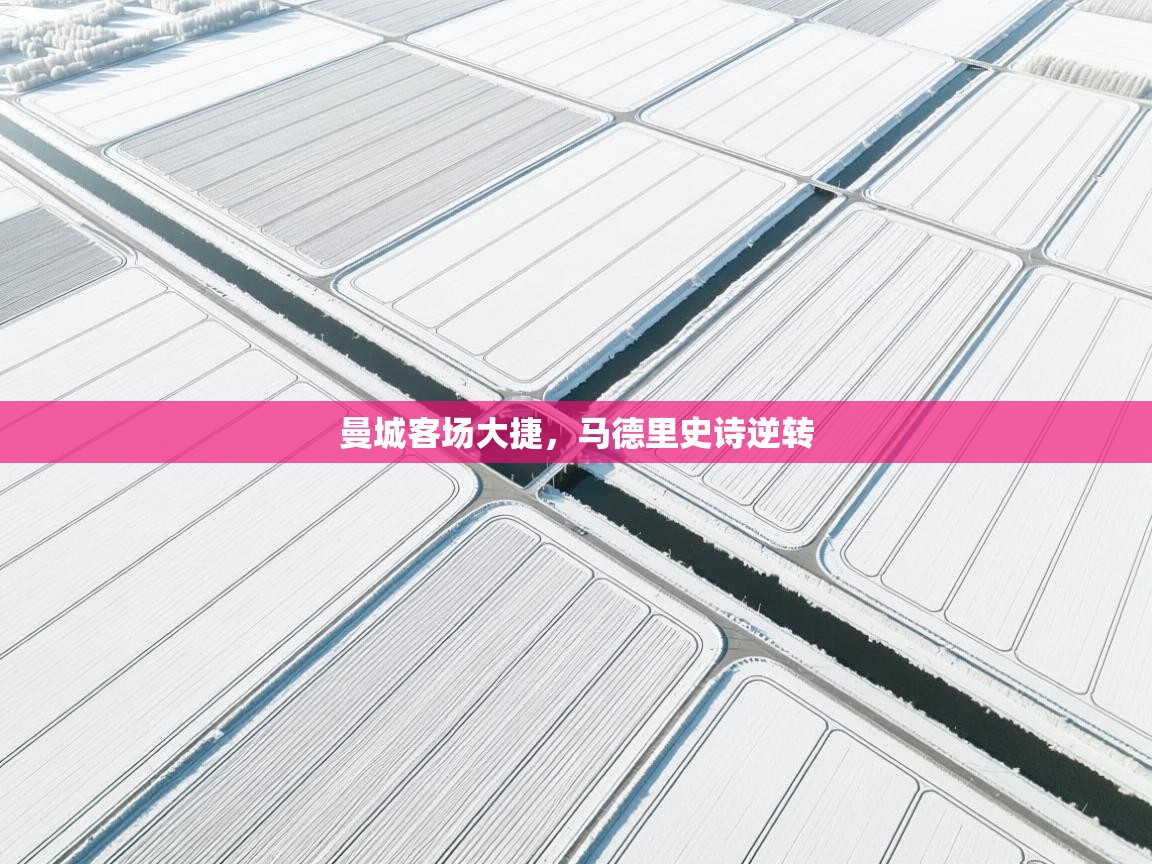 曼城客场大捷，马德里史诗逆转  第2张