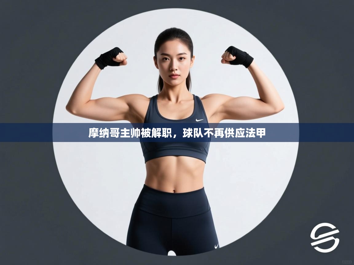 摩纳哥主帅被解职,球队不再供应法甲 第1张