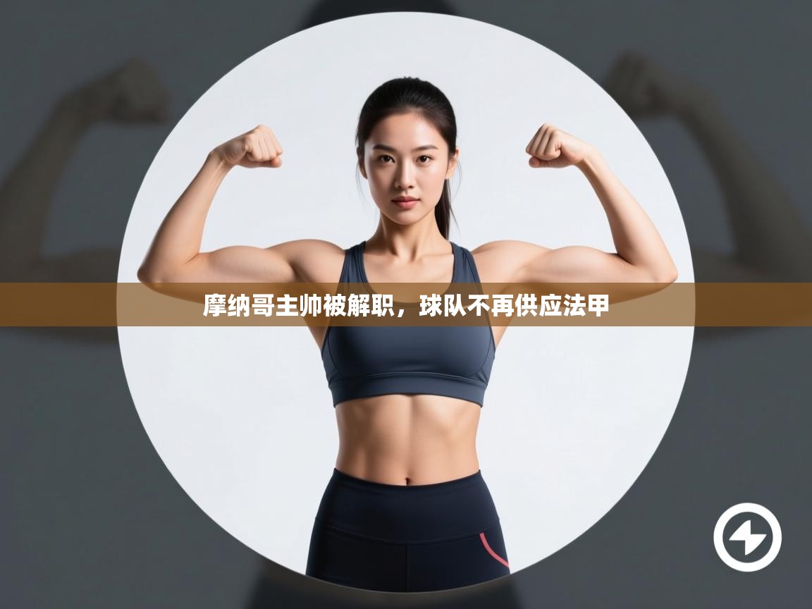 摩纳哥主帅被解职,球队不再供应法甲 第2张